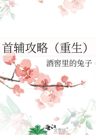 首辅攻略（重生）