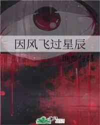 因风飞过星辰