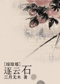 [综琼瑶]逐云石