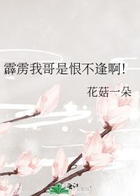 霹雳我哥是恨不逢啊!