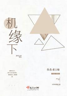 机缘下