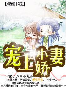 宠上小娇妻