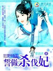 狂野特工:誓做杀伐妃