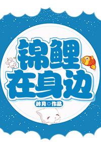 锦鲤在身边