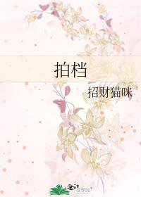拍檔