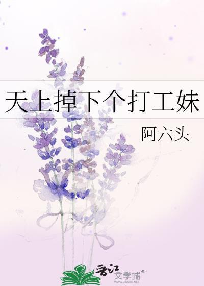 天上掉下个打工妹